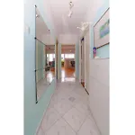 1 Bedroom Cozy In *
